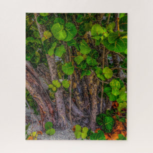 Strandtage, bedeckt, Meertrauben wachsen wild Puzzle