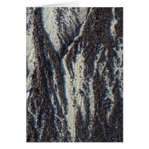 Strandtexturen mit Algen