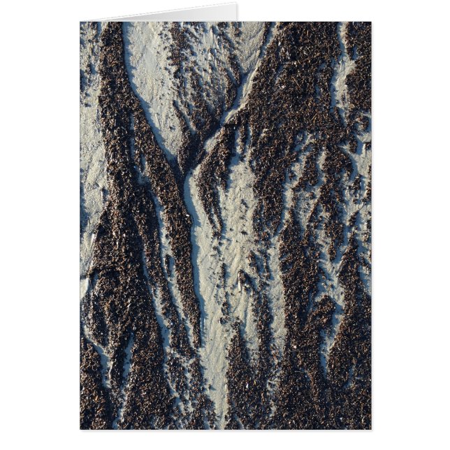 Strandtexturen mit Algen (Vorne)