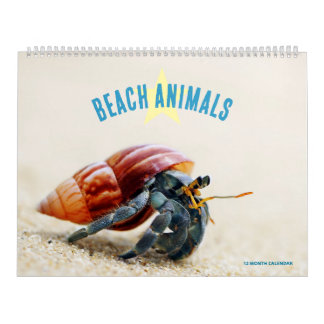 Strandtiere Kalender