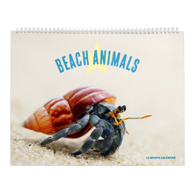 Strandtiere Kalender (Titelbild)