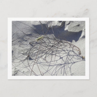 Strandtrümmer Postkarte