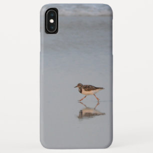 Strandvogelfoto Case-Mate iPhone Hülle