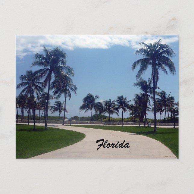 Strandweg Florida Postkarte (Vorderseite)