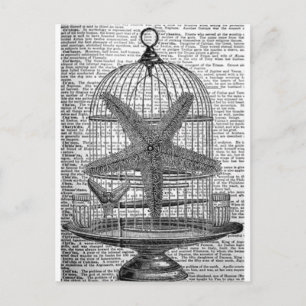 Strandwörterbuch Steampunk Birdcage Starfish Postkarte
