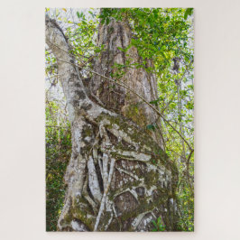 Strangler Fig, Big Cypress National Preserve, FL, Puzzle