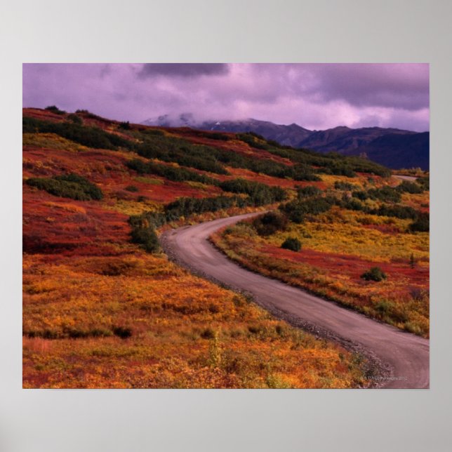 Straße, die durch Hügel schlängelt, in Denali Poster (Vorne)