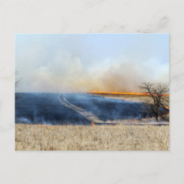 Straße durch die Prairie Burn 24 x 16 Postkarte