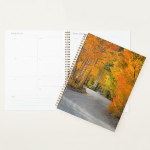 Straße durch Herbstaspens Planer