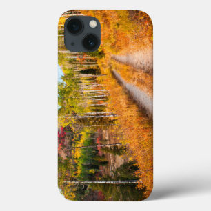Straße durch Herbstfarben iPhone 13 Hülle