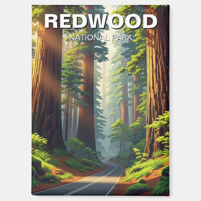 Straße im Redwood-Nationalpark Magnet (Vorderseite)