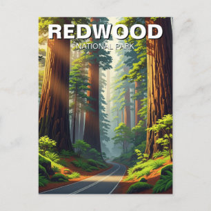 Straße im Redwood-Nationalpark Postkarte