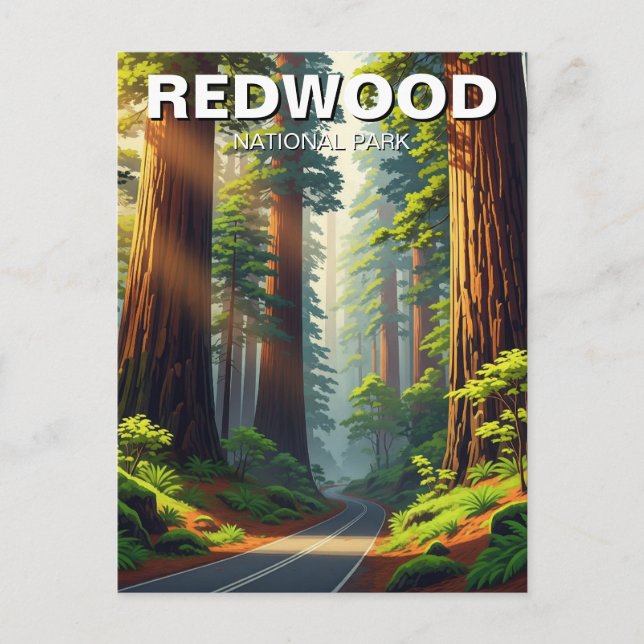 Straße im Redwood-Nationalpark Postkarte (Vorderseite)