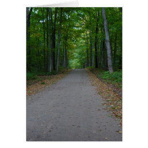 Straße im Wald.