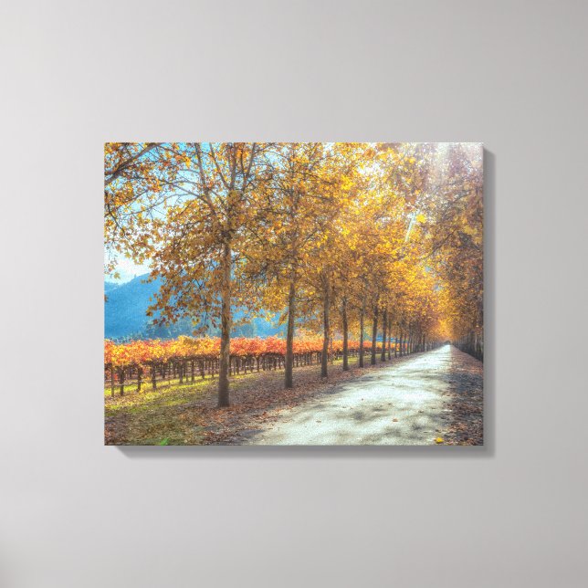 Straße im Weingarten Herbst Leinwanddruck (Vorderseite)