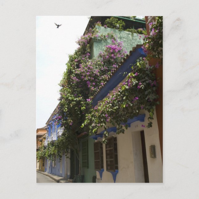 Straße in Cartagena Postkarte (Vorderseite)