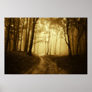 Straße in einem dunklen Wald mit Nebel Poster