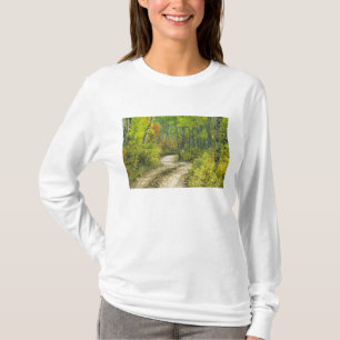 Straße mit Herbstfarben und -aspeln in Kebler T-Shirt