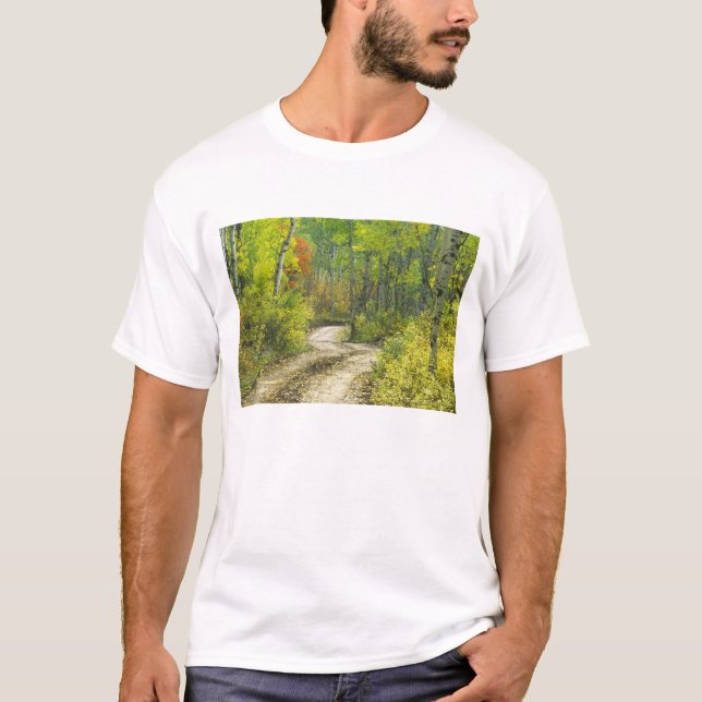 Straße mit Herbstfarben und -aspeln in Kebler T-Shirt (Vorderseite)