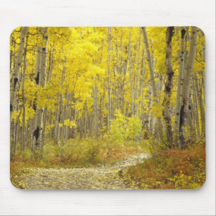Straße mit Herbstfarben und Espen in Kebler 2 Mousepad