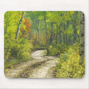 Straße mit Herbstfarben und Espen in Kebler Mousepad