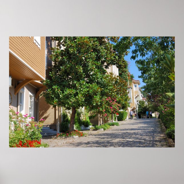 Straße Prinz Istanbul Poster (Vorne)