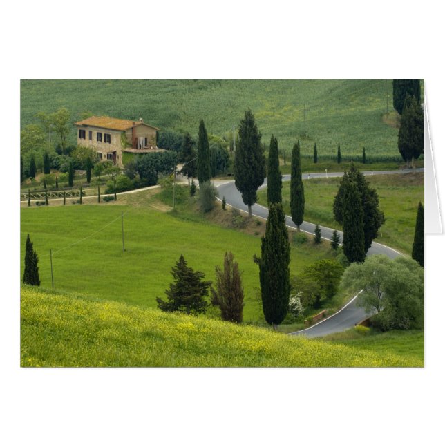 Straße von Pienza nach Montepulciano, 2 (Vorderseite (Horizontal))