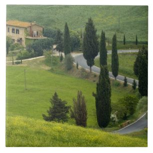 Straße von Pienza nach Montepulciano, 2 Fliese