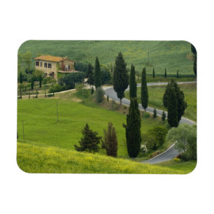 Straße von Pienza nach Montepulciano, 2 Magnet