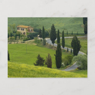 Straße von Pienza nach Montepulciano 2 Postkarte