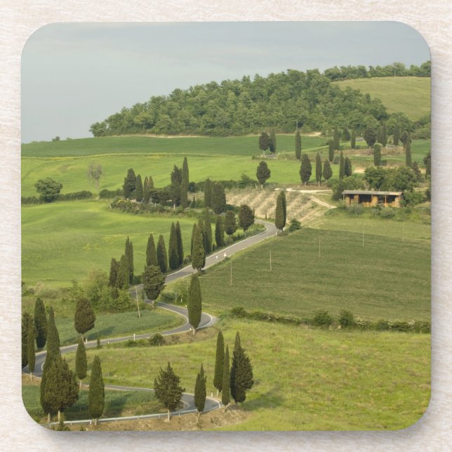 Straße von Pienza nach Montepulciano Getränkeuntersetzer (Vorderseite)