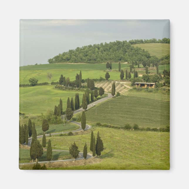 Straße von Pienza nach Montepulciano Magnet (Vorne)
