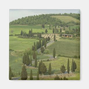 Straße von Pienza nach Montepulciano Magnet