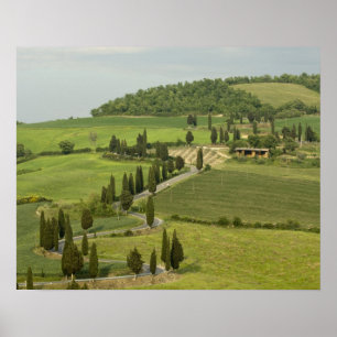 Straße von Pienza nach Montepulciano Poster