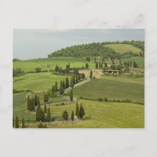 Straße von Pienza nach Montepulciano Postkarte