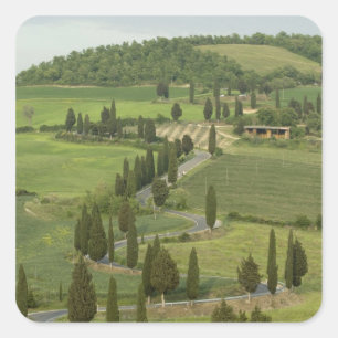 Straße von Pienza nach Montepulciano Quadratischer Aufkleber
