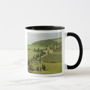 Straße von Pienza nach Montepulciano, Tasse