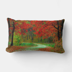 STRASSE WALD BÄUME BOTANISCH NATUR LANDSCHAFT LENDENKISSEN