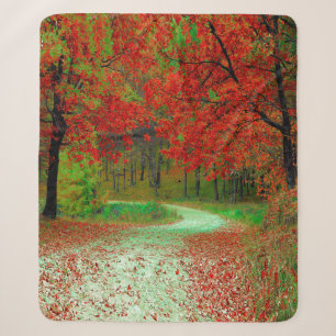 STRASSE WALDBÄUME BOTANISCHE NATUR LANDSCHAFT SHERPADECKE