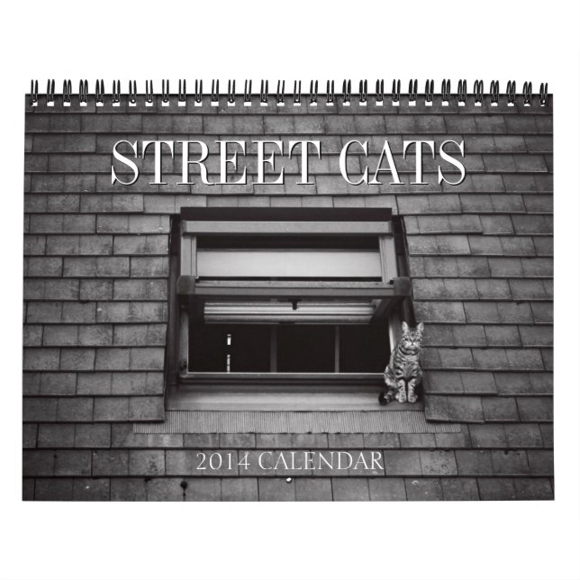 Straßen-Katzen-Fotografie-Kalender 2014 Kalender (Titelbild)