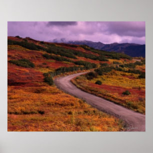 Straßen-Wicklung durch Hügel in Denali Poster