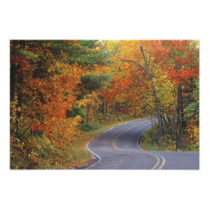 Straßenbahn Herbstbäume im Itasca Staat Park Fotodruck
