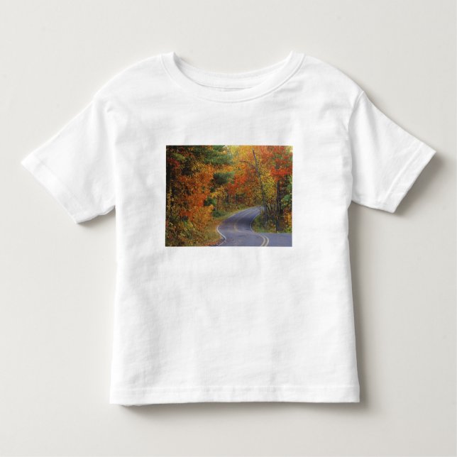 Straßenbahn Herbstbäume im Itasca Staat Park Kleinkind T-shirt (Vorderseite)