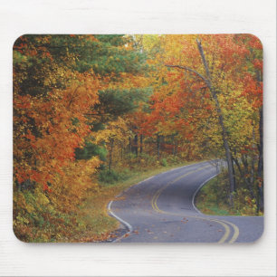 Straßenbahn Herbstbäume im Itasca Staat Park Mousepad