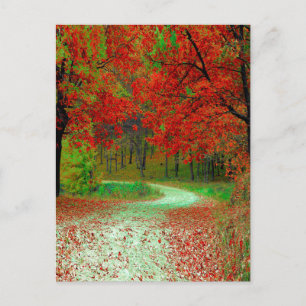 STRASSENBÄUME BOTANISCHE NATURLANDSCHAFT POSTKARTE