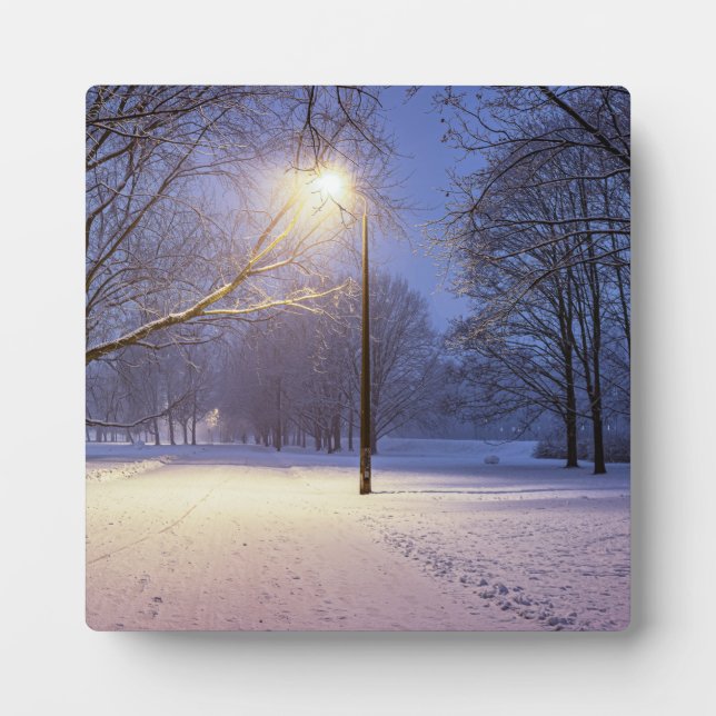 Straßenbeleuchtung und Schneebäume Fotoplatte (Vorderseite)