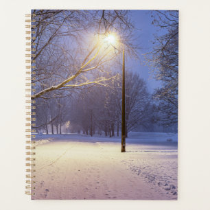 Straßenbeleuchtung und Schneebäume Planer