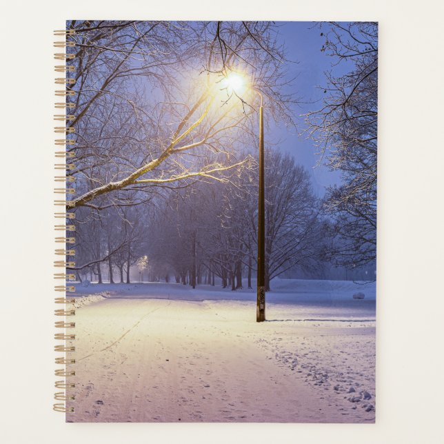 Straßenbeleuchtung und Schneebäume Planer (Vorderseite)