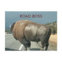 STRASSENBOSS-Postkarte