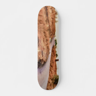 Straßenlandschaft Verrückte Freizeitgestaltung Ben Skateboard